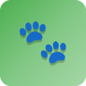 Pet Name Finder: Modern & Interactive App