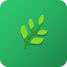 Planty plant